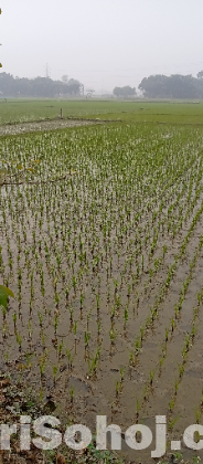 আকর্ষণীয় মূল্যে জমি বিক্রয়!